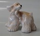 Royal Copenhagen figurine 0040 American Cocker Spaniel 9 cm